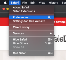 Safari_cache_step1